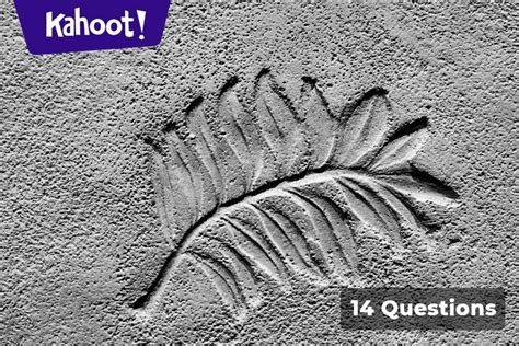 Kahoot On Fossils