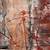 kakadu national park australia cave paintings