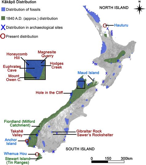 kakapo habitat map