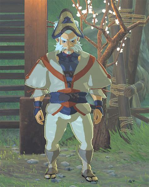 kakariko village botw npcs