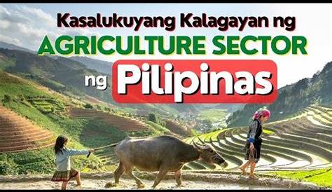 kalagayan ng agrikultura sa Pilipinas.docx - Ang Pilipinas ay kilala