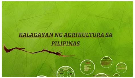 SOLUTION: Filipinolohiya at kalagayan ng pambansang industriya sa