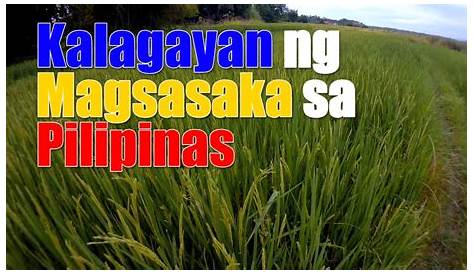 Solution Filipinolohiya At Kalagayan Ng Pambansang Industriya Sa | My