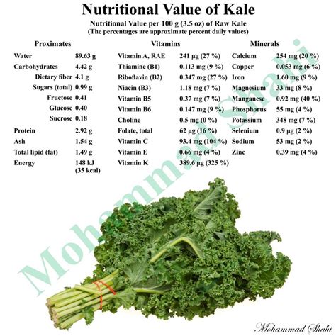 Kale Has Carbs