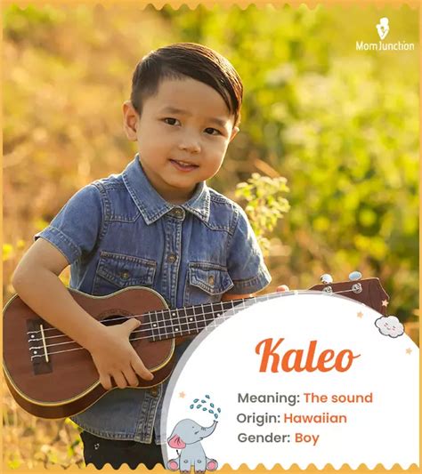 Kaleo O Hawaii Kaleo O Hawaii