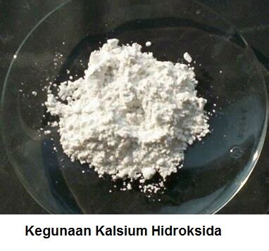 10 Manfaat Kalsium Hidroksida yang Jarang Diketahui