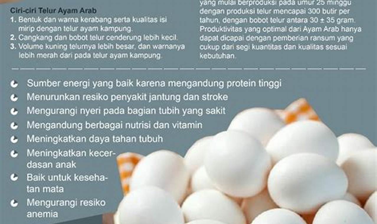 Manfaat Telur yang Jarang Diketahui, Wajib Dibaca!