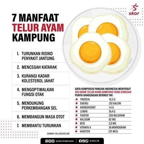 Temukan Manfaat Telur yang Jarang Diketahui dan Anda Butuh Tahu