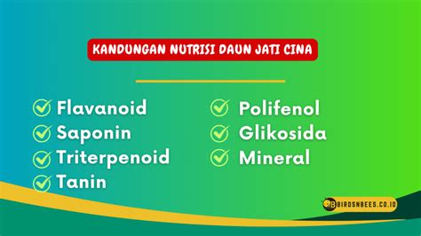 kandungan nutrisi daun jati