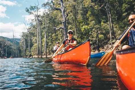 Kayak Dog Perch Kayaking with dogs, Dogs, Kayaking