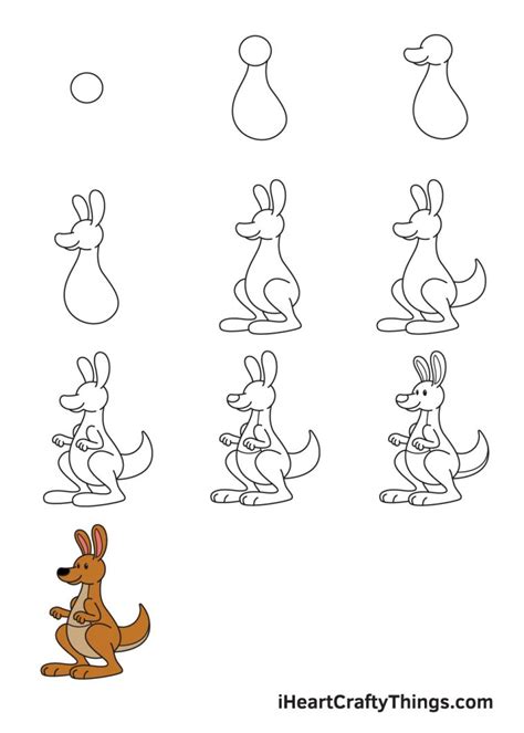 How to Draw a Baby Kangaroo
