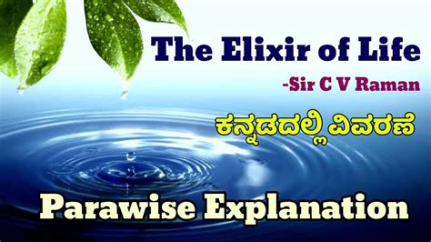 Kannada Meaning Elixir