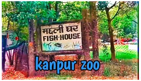Kanpur Zoo Fish House Aquariums And s A Photo Thread Page 5