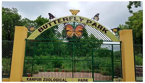 Kanpur Zoo Gate How Does IIT Looks Like? Can You Share Some