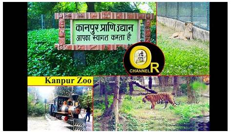 Kanpur Zoo Image Animals In And Lucknow Get Special Diets