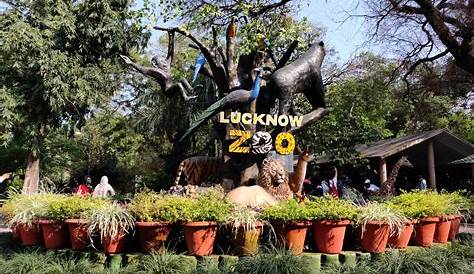 Kanpur Zoo .. Rhinoceros YouTube