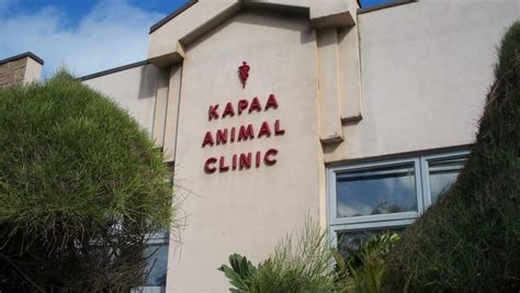 kapaa animal clinic hours