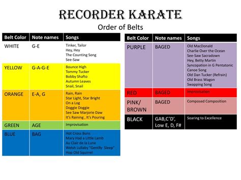 Karate Recorder Belts