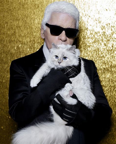 karl lagerfeld choupette cat ragdoll