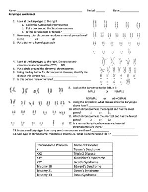 12 Karyotype Worksheet Answers Biology /