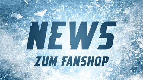 kassel huskies fanshop