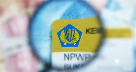 kategori wajib pajak status pusat atau cabang