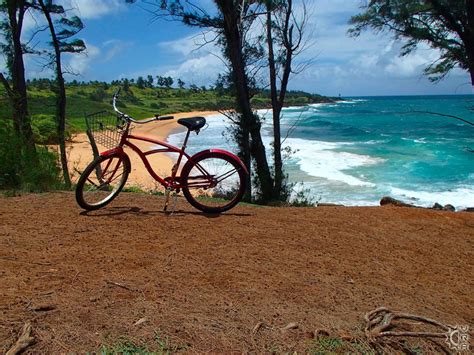 kauai bike rentals kapaa