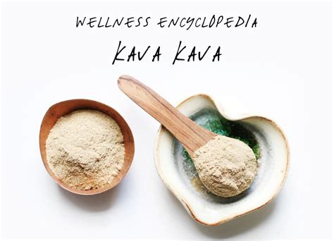 Wellness Encyclopedia Kava Kava + Elixir Recipe (Free