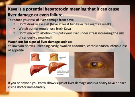 Kava Side Effects Liver