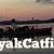 kayak catfish net worth