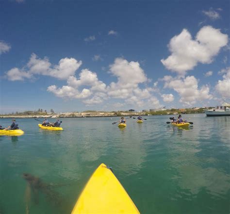 Recreational kayak ARUBA 8 SS KL Outdoor rigid / solo / adult