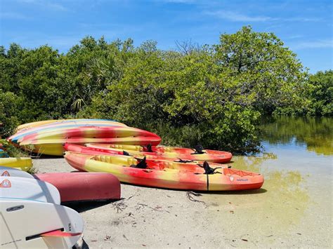 Wooden kayak company is a profile of perseverance