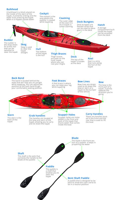 Parts Of A Kayak 40 Terms You Should Add To Your Knowledge Bank