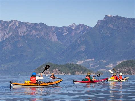 Sea Kayak Vacations & Whale Adventures in Baja/BC, Port McNeill