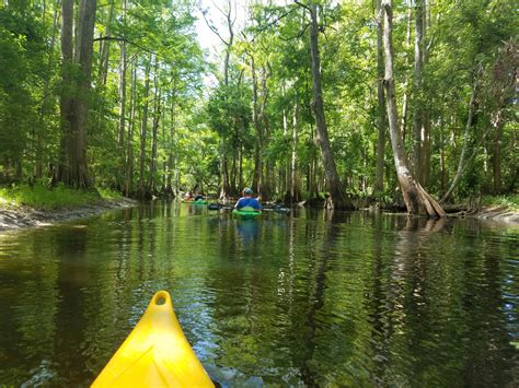 kayaking in kissimmee florida