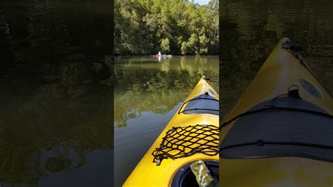 Kayaking Pine River Mn