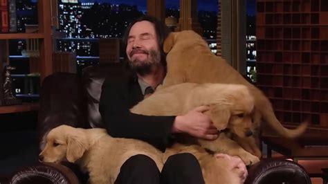 keanu reeves with puppies