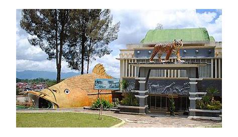 √ 39 Tempat Wisata di Bukittinggi Terbaru & Hits (2022)