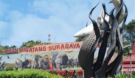 Kebun Binatang Surabaya sudah lama dikenal sebagai tempat wisata