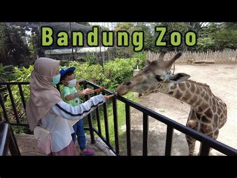 Kebun Binatang Bandung Akhir Pekan