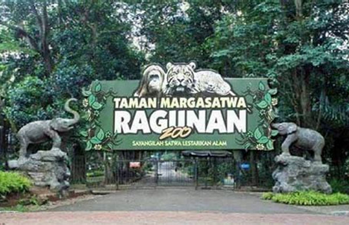 Spesies Hewan Kebun Binatang Ragunan Indonesia