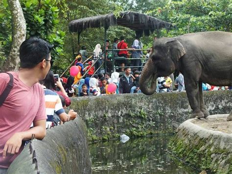 kebun binatang in Yogyakarta