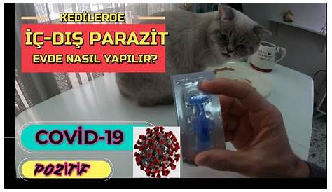 Kedi Iç Dış Parazit Aşısı Bayer