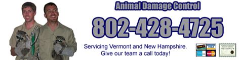 Dog Training and Behavior Modification Keene New Hampshire