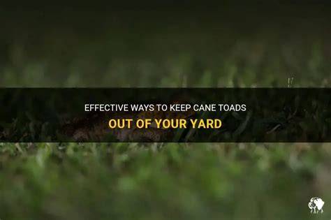 Keep Cane Toads Out