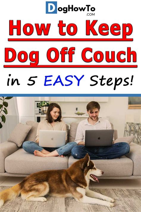 Keep Dog Off Couch Diy