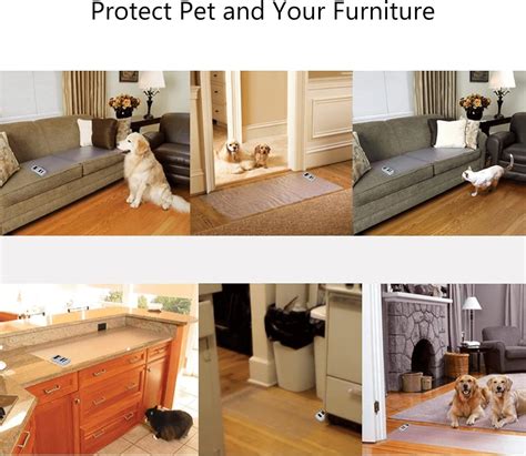 Keep Dog Off Couch Shock