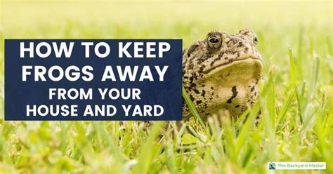 keep frogs out of yard