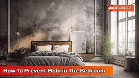 Keep Getting Mould Bedroom