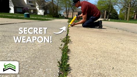 How To Safely and Effectively Control Weeds In Driveways and Patios